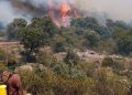 El avance del fuego en Guadalajara se frena a las puertas de Soria en una jornada crítica de incendios en España