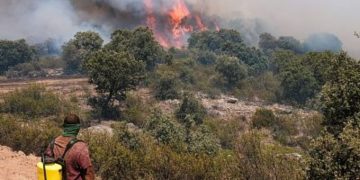 El avance del fuego en Guadalajara se frena a las puertas de Soria en una jornada crítica de incendios en España