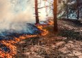 Evolución de los incendios forestales en España: la mejoría en los focos principales permite el retorno de desalojados
