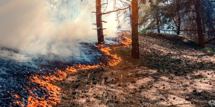 Evolución de los incendios forestales en España: la mejoría en los focos principales permite el retorno de desalojados
