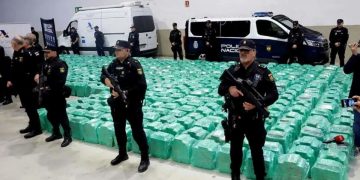 Las incautaciones de droga en Madrid rozaron los 320 millones de euros en 2025 y posicionan a la región como la principal vía de entrada de ayahuasca y medicamentos ilegales