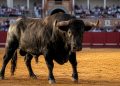 Toros hoy, martes 25 de agosto de 2026: carteles, horarios y espadas de la jornada