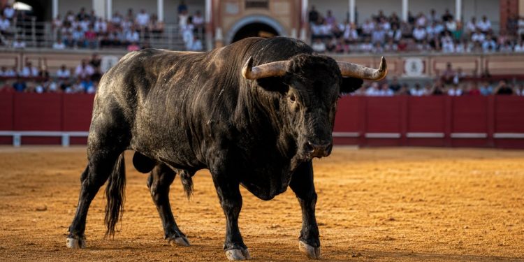Toros hoy, martes 25 de agosto de 2026: carteles, horarios y espadas de la jornada