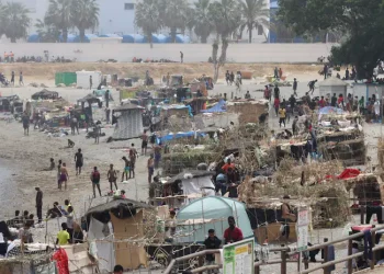 Traslado de migrantes de Benítez y el Trampolín a puerto