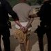 Tres detenidos por el tiroteo en Isla Cristina que se cobró la vida de dos mujeres y un menor