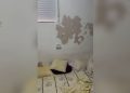 Detenida una pareja en Ceuta por ocultar a 25 inmigrantes en un piso por 300 euros al mes cada uno