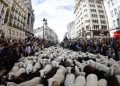 La acampada en la Puerta del Sol obliga a modificar el recorrido de la tradicional Fiesta de la Trashumancia en Madrid