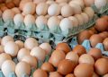 La Unión Europea declara la alerta alimentaria por salmonela en huevos frescos procedentes de España
