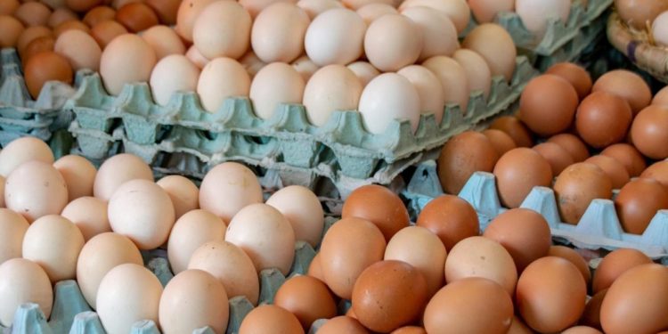 La Unión Europea declara la alerta alimentaria por salmonela en huevos frescos procedentes de España