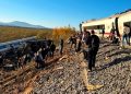 El Gobierno apunta a un «error humano de un operador de Adif» como causa de la tragedia ferroviaria en Toledo
